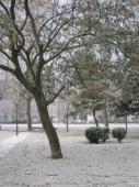 Hiver-toulouse-1.JPG